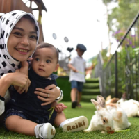 little zoo